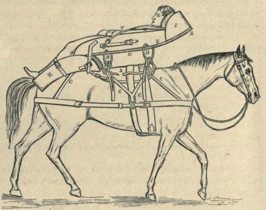 A Manual for the Transport of Sick and Wounded by Pack Animals