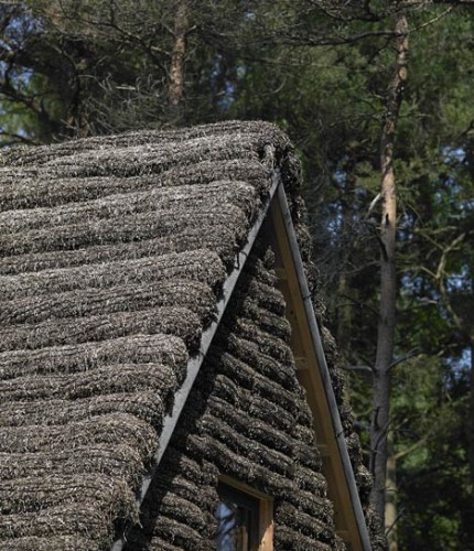 seaweed house detail