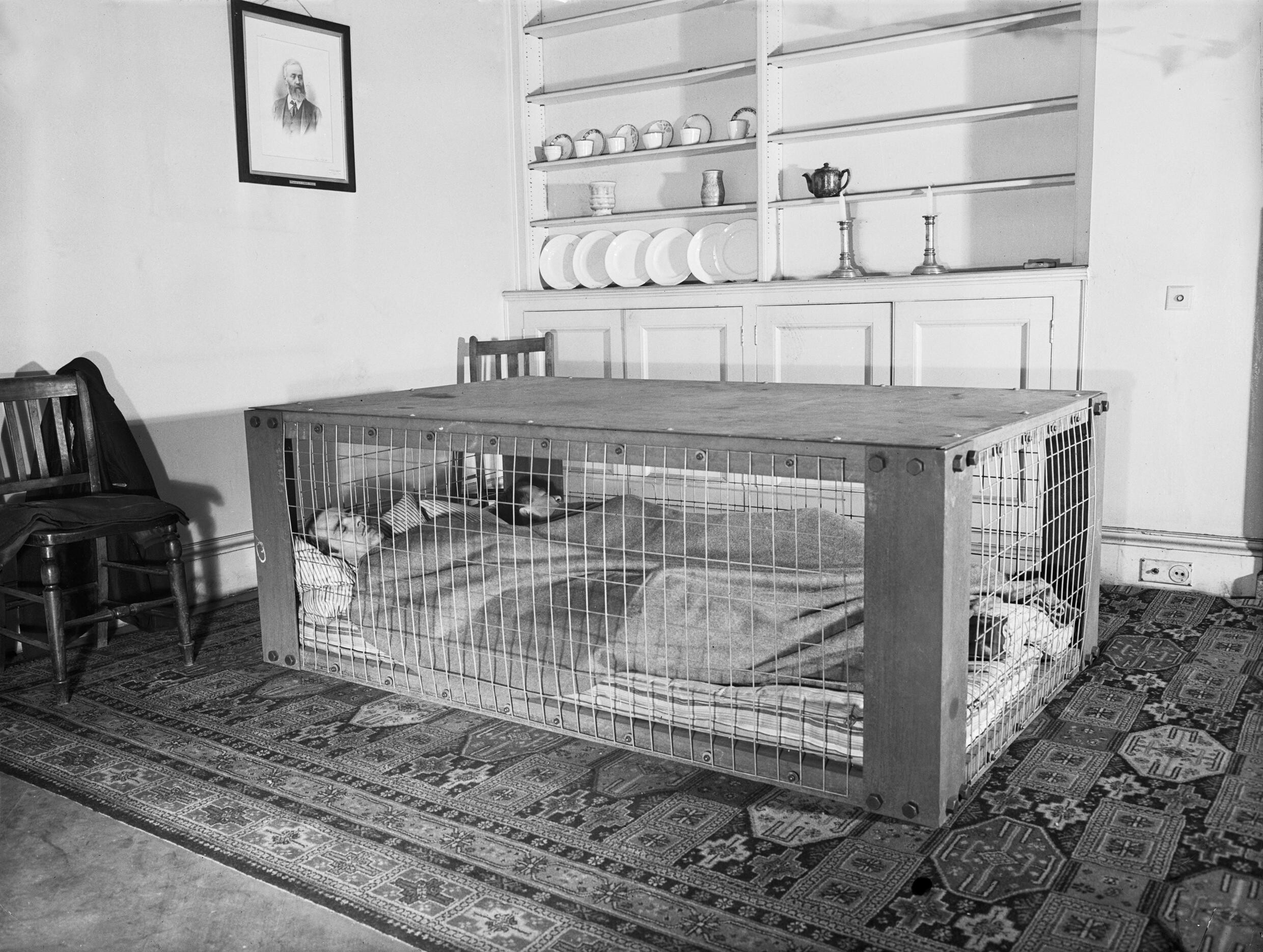 The Morrison Shelter
